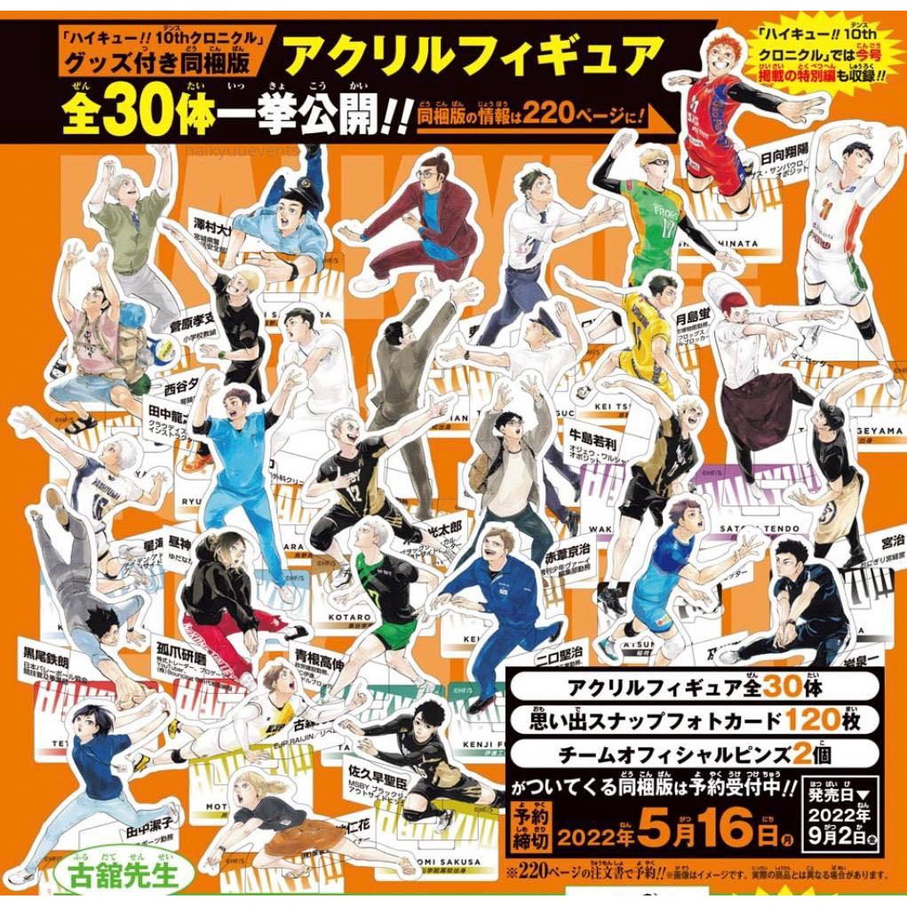 [OFFICIAL MERCHANDISE] Haikyuu 10th Chronicle Acrylic Standee Akrilik Pajangan