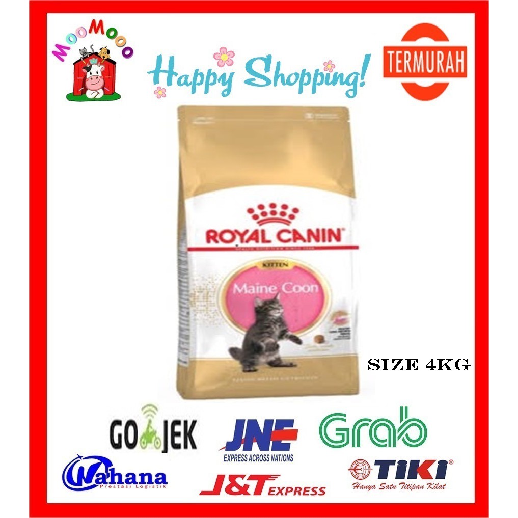 PROMO Royal Canin Maine Coon Kitten 4Kg - Makanan Kucing / Cat Food