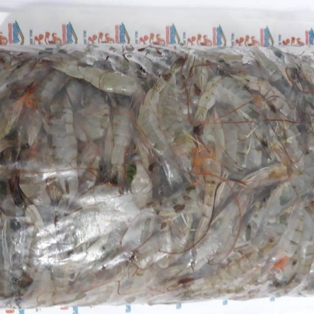 

Udang sambal tambak fresh 1 kg dikirim kondisi beku via gosent area bandar lampung