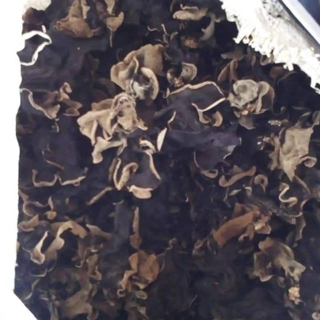 

Jamur kuping kering setengah kilo