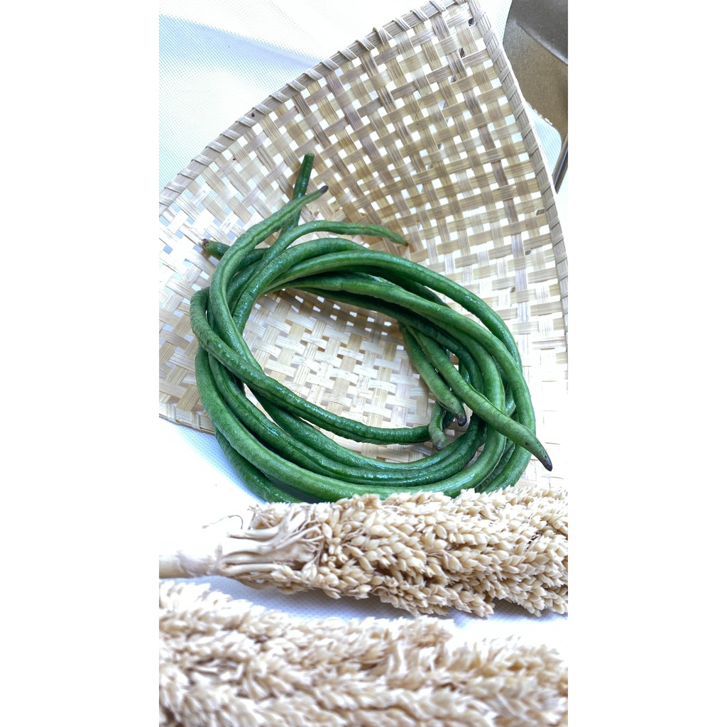 

kacang panjang