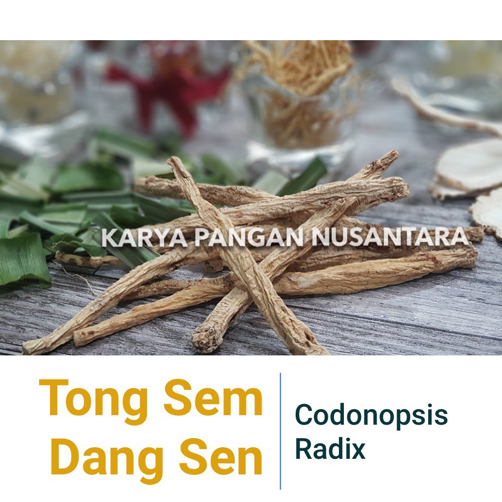 

Tong Sem - Dang Sen - Codonopsis Radix - Tong Sim - Dang Shen Ginseng