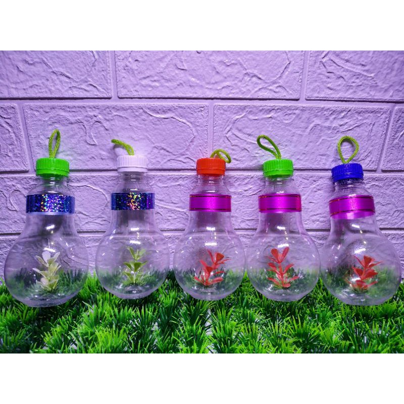 AQUARIUM PLASTIK IKAN CUPANG