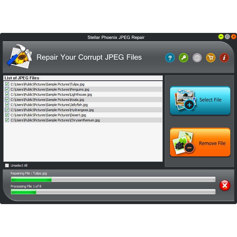 [FULL VERSION] Stellar Phoenix JPEG Repair V5 - GARANSI AKTIVASI