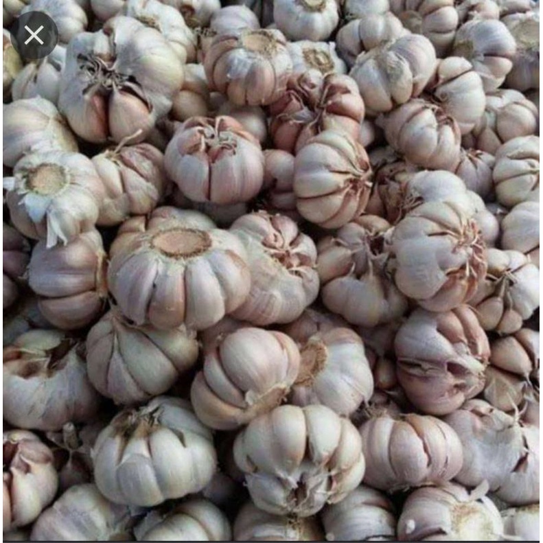 

Paket Hemat Bawang Putih & Bawang Merah Murah