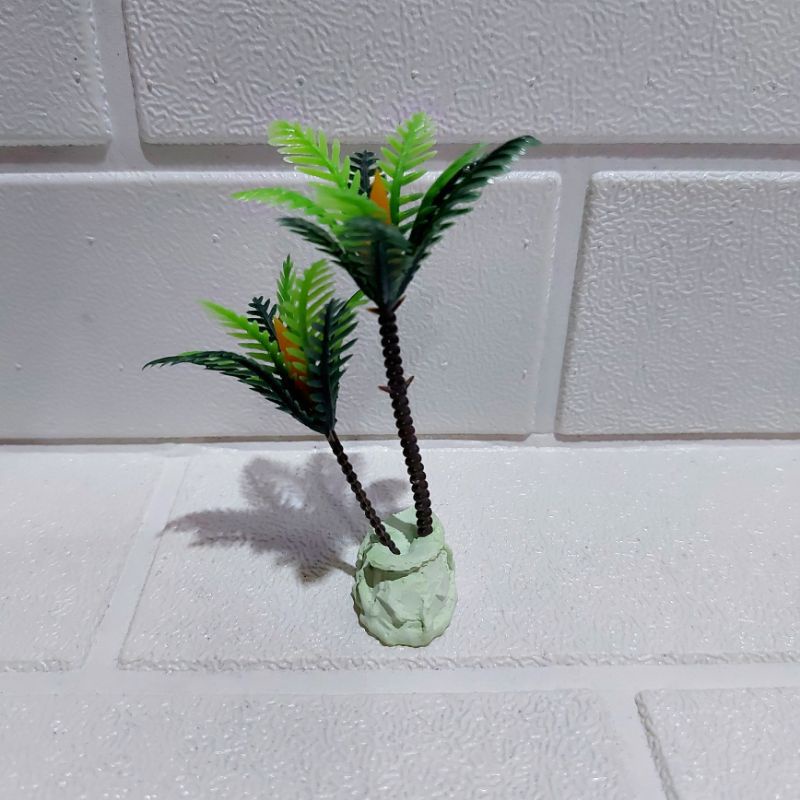 Akuarium Tanaman hias kelapa nyiur cantik akuarium aquascape