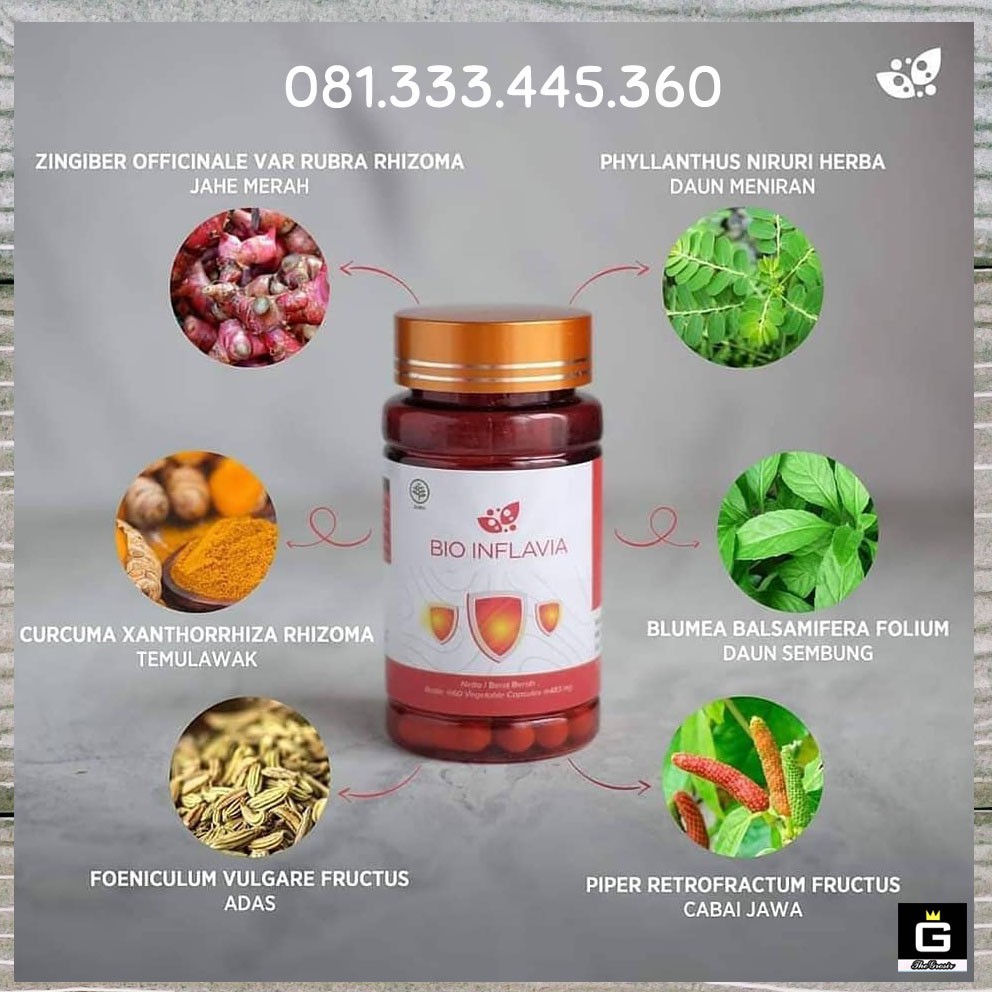 Bio Inflavia Biogreen Darah Tinggi Kolesterol Pusing Asam Urat Rematik