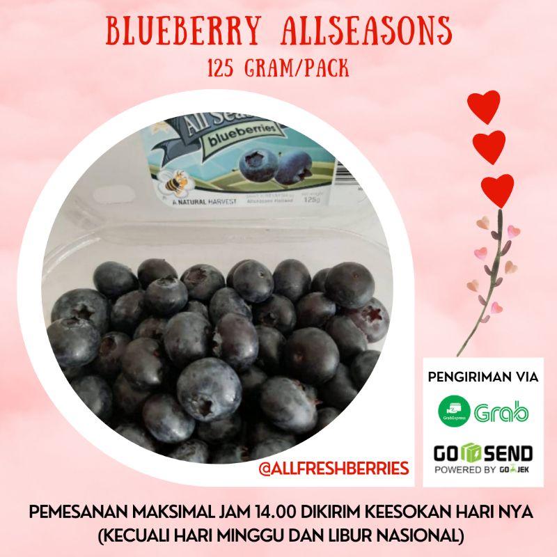 

Blueberry All Seasons (Fresh Berries)