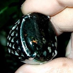 batu cincin black oval Banten natural original