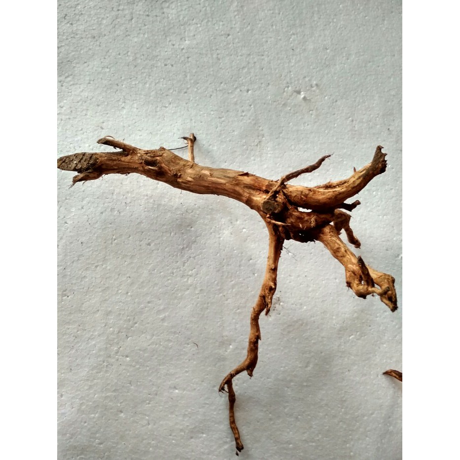 Jual Kayu Rasamala Size S Aquascape Shopee Indonesia Harga kayu aquarium