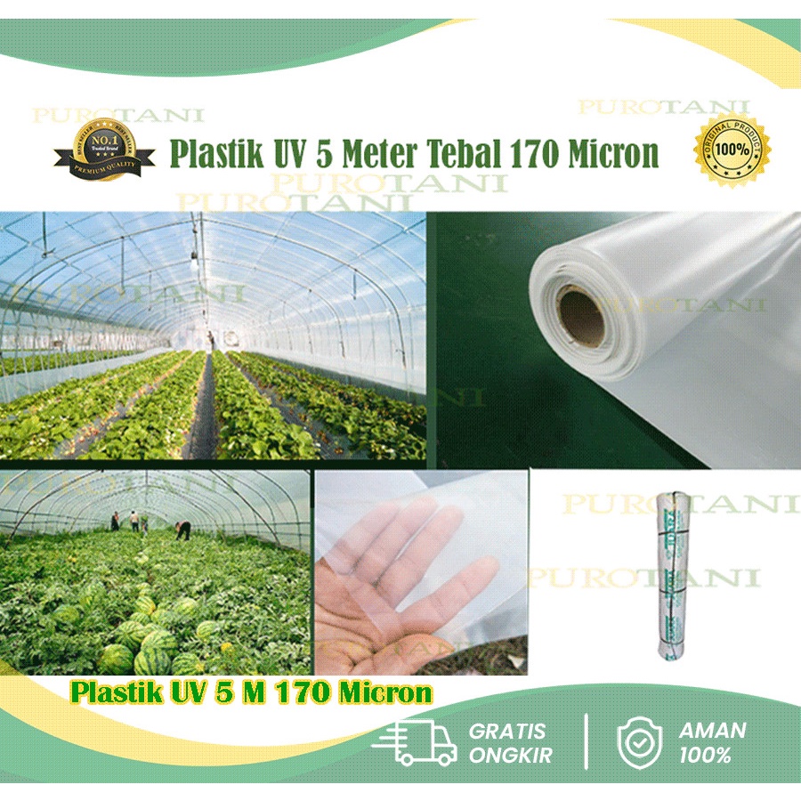 Plastik UV Lebar 5 Meter Tebal 170 mikron Plastik Uv 5 Ultra Violet