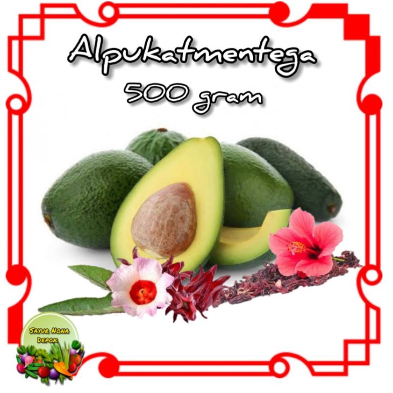 

alpukat mentega 500 gram