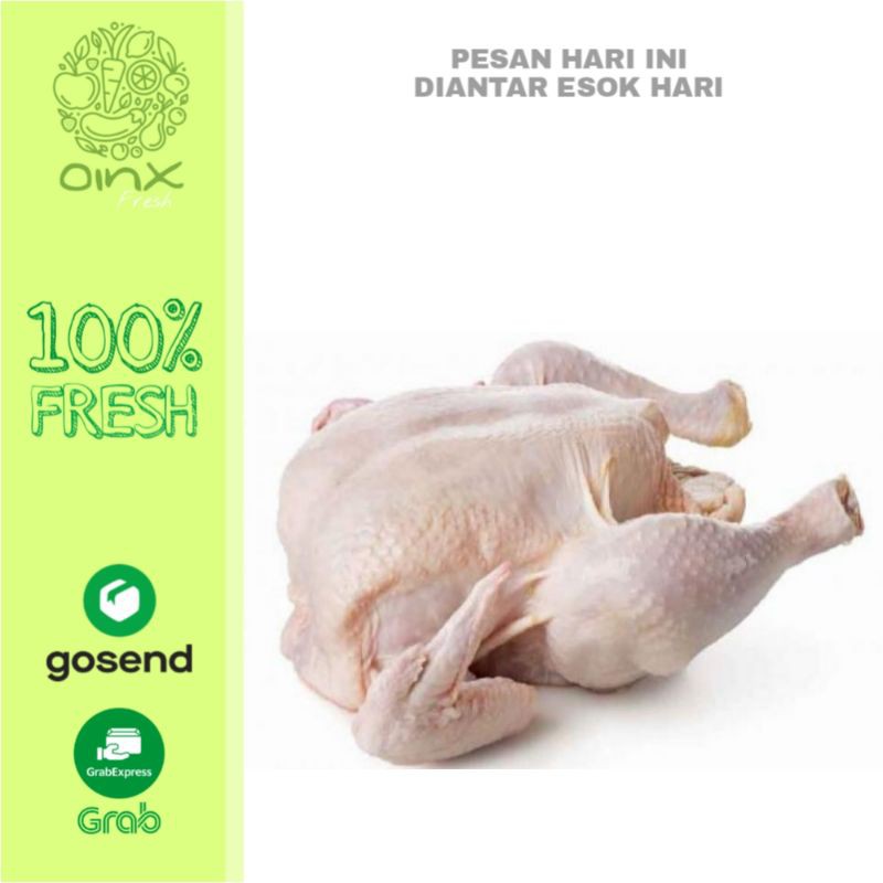 

Ayam Potong / Ayam Utuh Segar 1kg