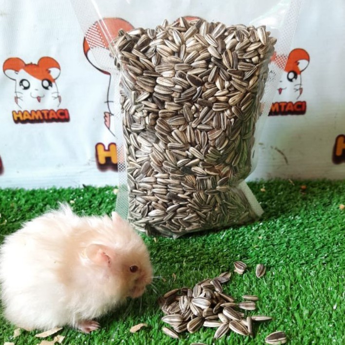 KUACI HITAM SANGRAI 100GR CAMILAN HAMSTER/GERBIL/PENGERAT/DLL