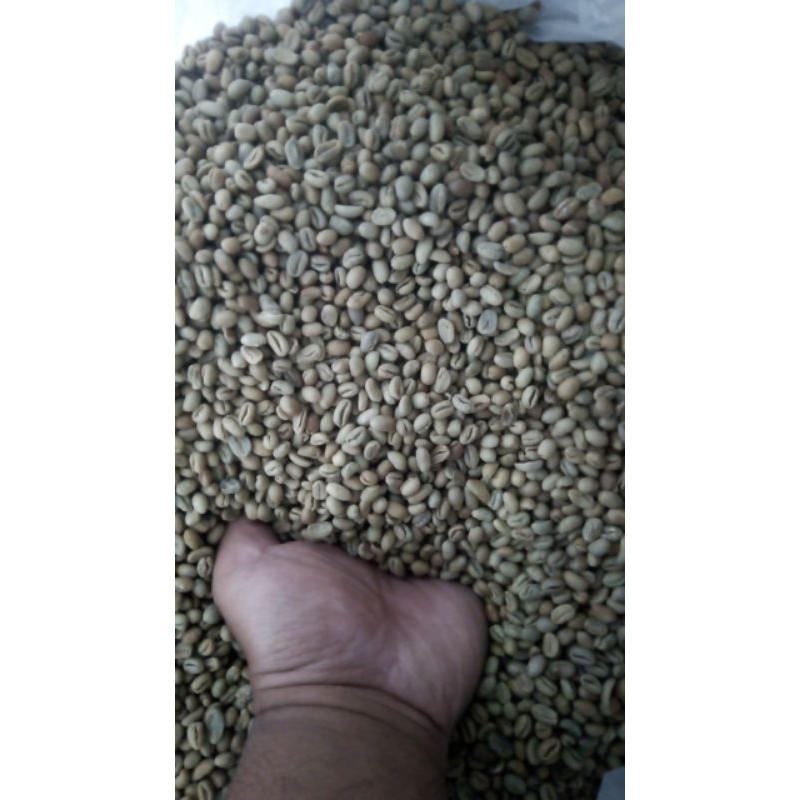 

1 Kg Arabica Peaberry / Lanang Natural, Kerinci-Jambi. Green Beans.