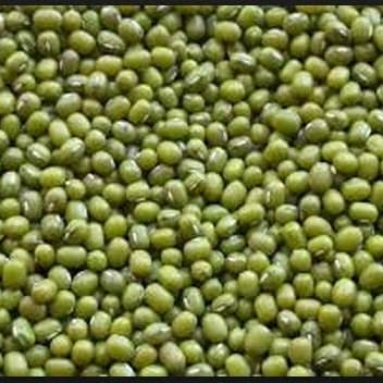 

Siap Krim Kacang Hijau Australia Impor Kacang Ijo Bagus 1Kg Termurah Terlaris