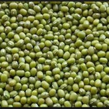 

Siap Krim Kacang Hijau Australia Impor Kacang Ijo Bagus 1Kg Termurah Terlaris