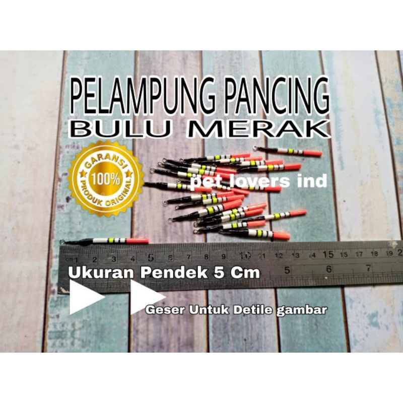 Pelampung bulu merak pendek asli