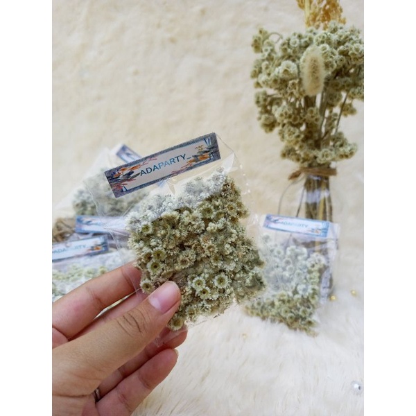 5 gram BUNGA EDELWEIS KERING / BUNGA ABADI/ DRIED FLOWER