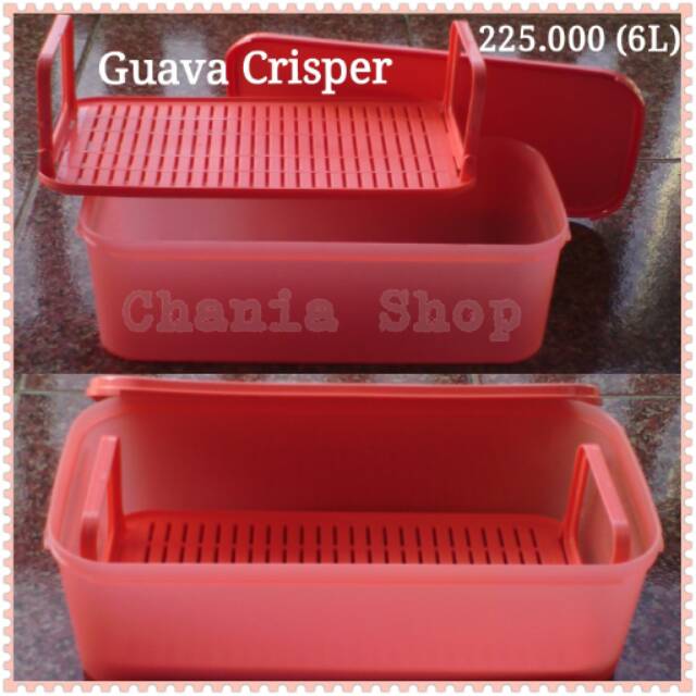Guava Crisper