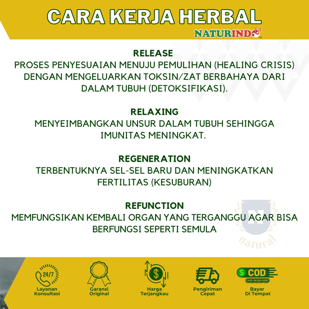 Obat Liver Mata Kuning Kesehatan Organ Hati Hepatitis Obat Hepatitis B Ampuh Hepatifit Obat herbal Liver Bengkak Obat Gatal Biduran Naturindofit-5