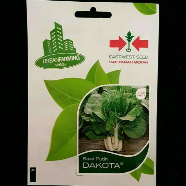 

Pakcoy Putih/ Sawi Putih