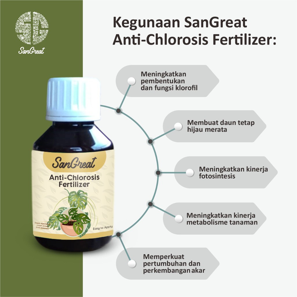 Pupuk Anti Klorosis Tanaman hias, Obat Daun Kekuningan dari SanGreat 100 ml