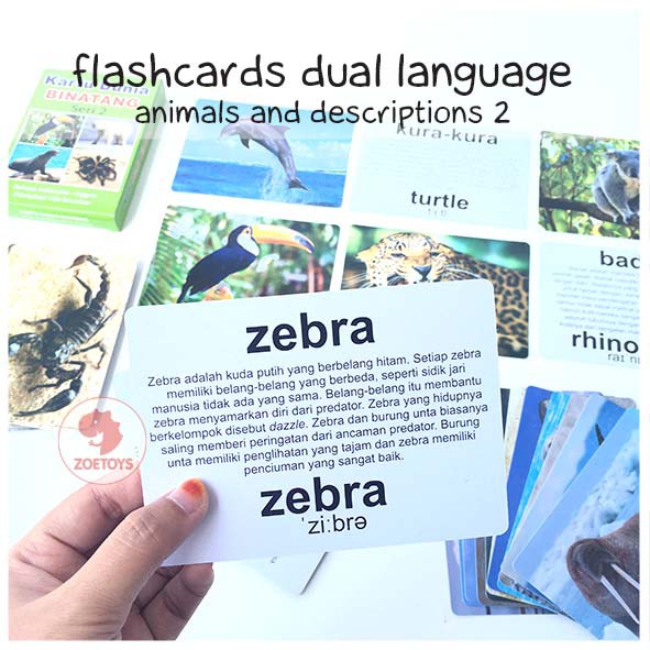 Zoetoys Flashcards Dual Language | Flashcard Kartu Pintar Balita Termurah Animal Body Parts Alphabet | Mainan Edukasi Anak