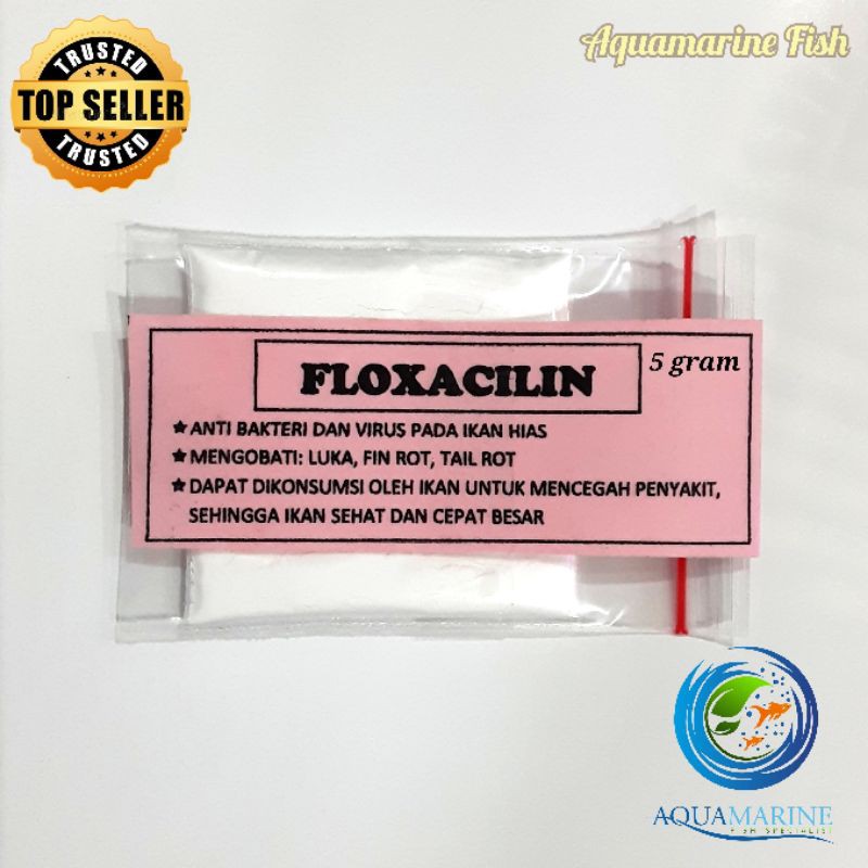 Floxacilin Fish Antibiotik Obat Ikan Anti Bakteri Aeromonas Dropsy Sisik Nanas Fin Rot Kembung Aquamarine Fish