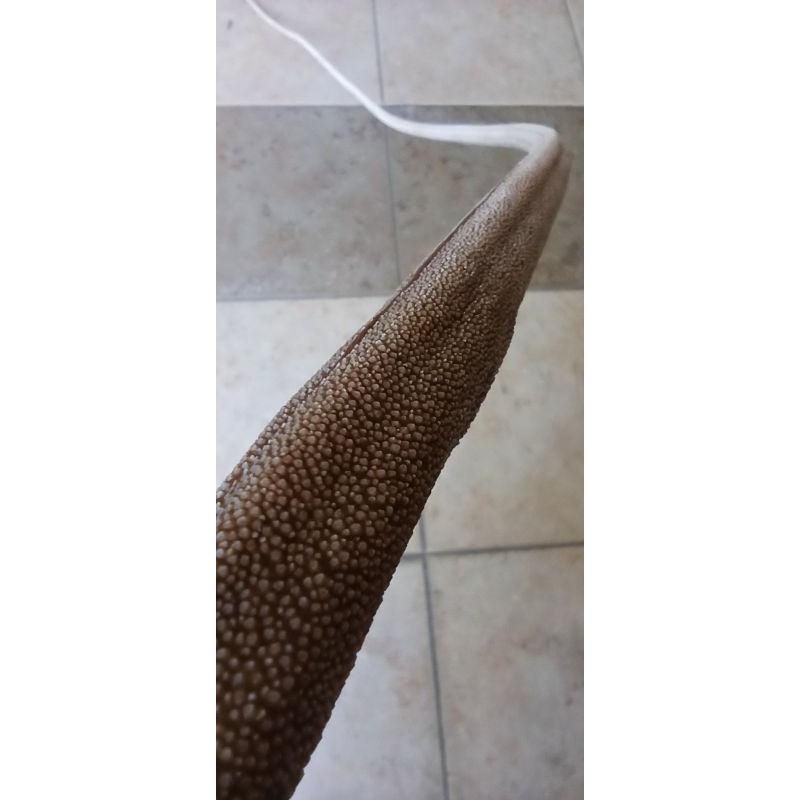 Hiasan dinding / pet control ekor ikan pari 180cm kurang lebih