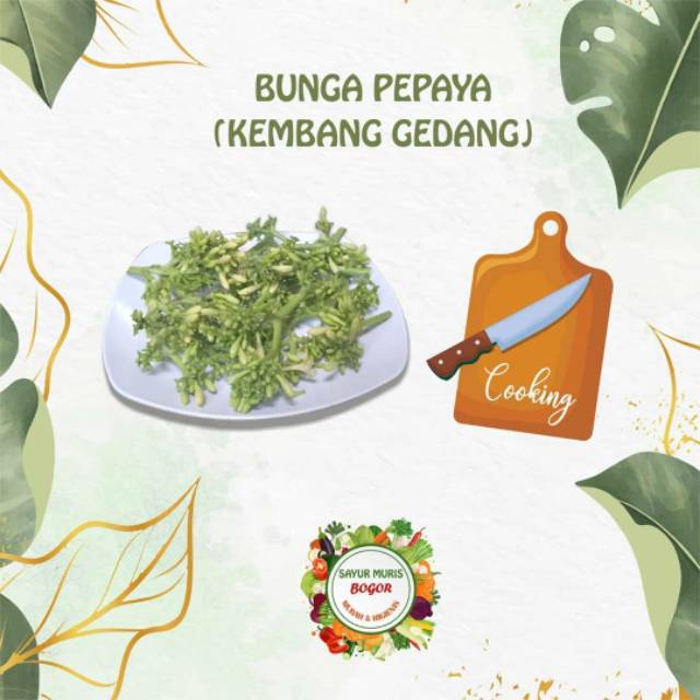 

BUNGA PEPAYA MURAH 100gr