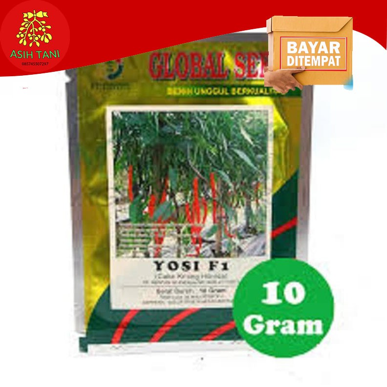 BENIH CABE KERITING YOSI F1