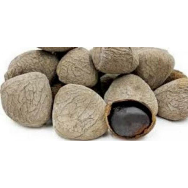 

Kluwek atau kluwak 500 gr- Bumbu masak