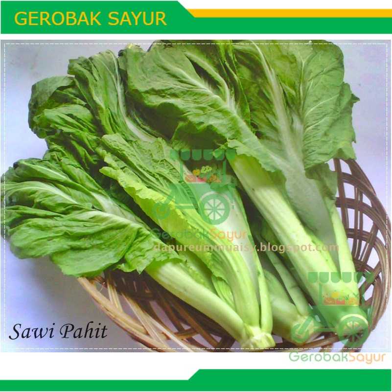 

Sawi Pahit Ikat 500 g