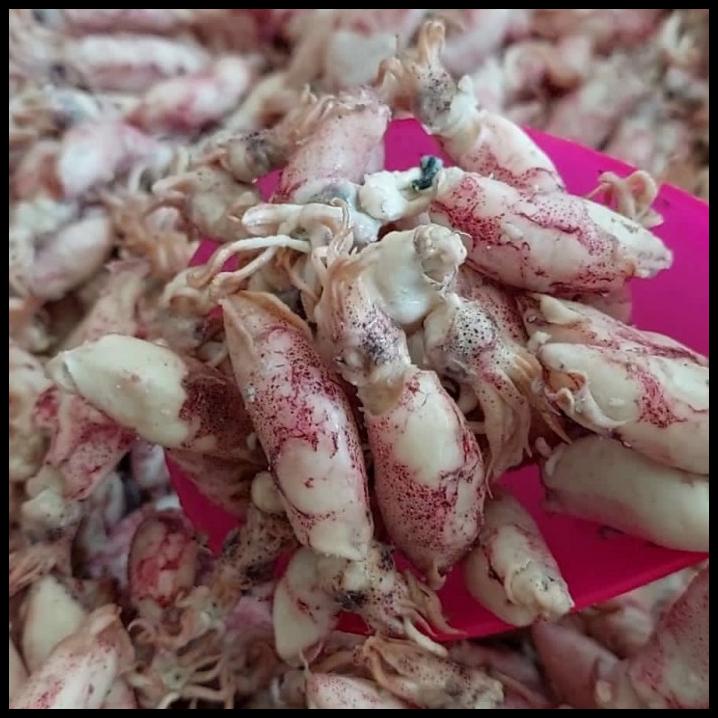 

Cumi Baby Asin/Baby Cumi Asin Frozen 1Kg
