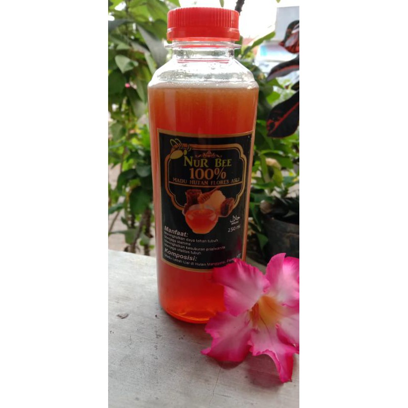 

Madu Hutan Flores Asli 100% NuRBee(250ml)