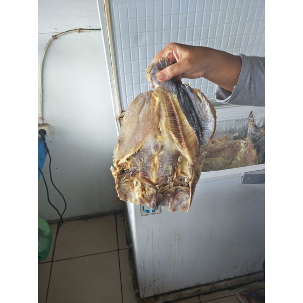 

ikan asin jambal roti biasa