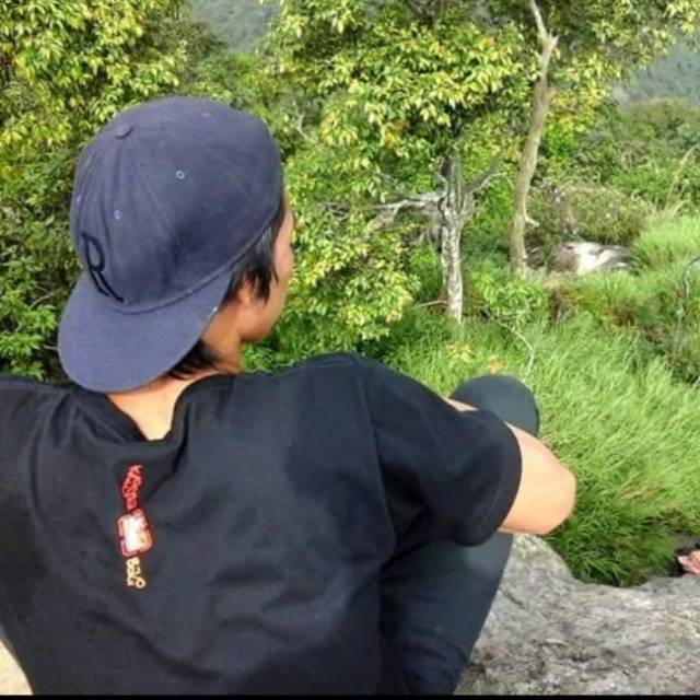 adie130195