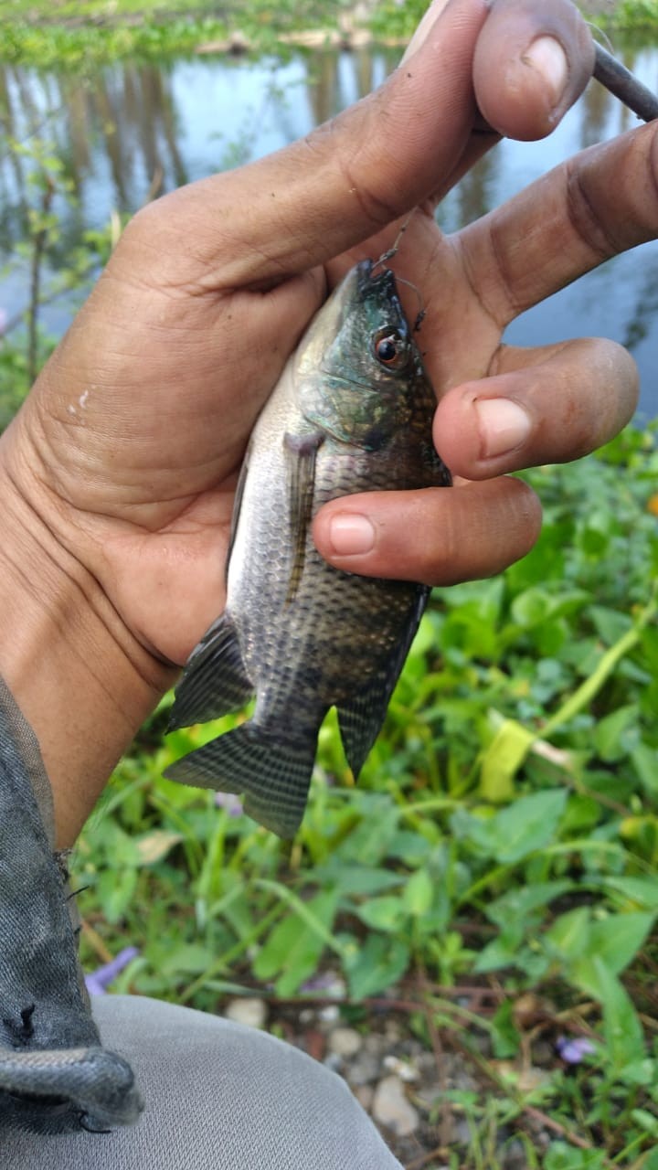 Standing Pouch Utk Racik 100gram Atau 1ons