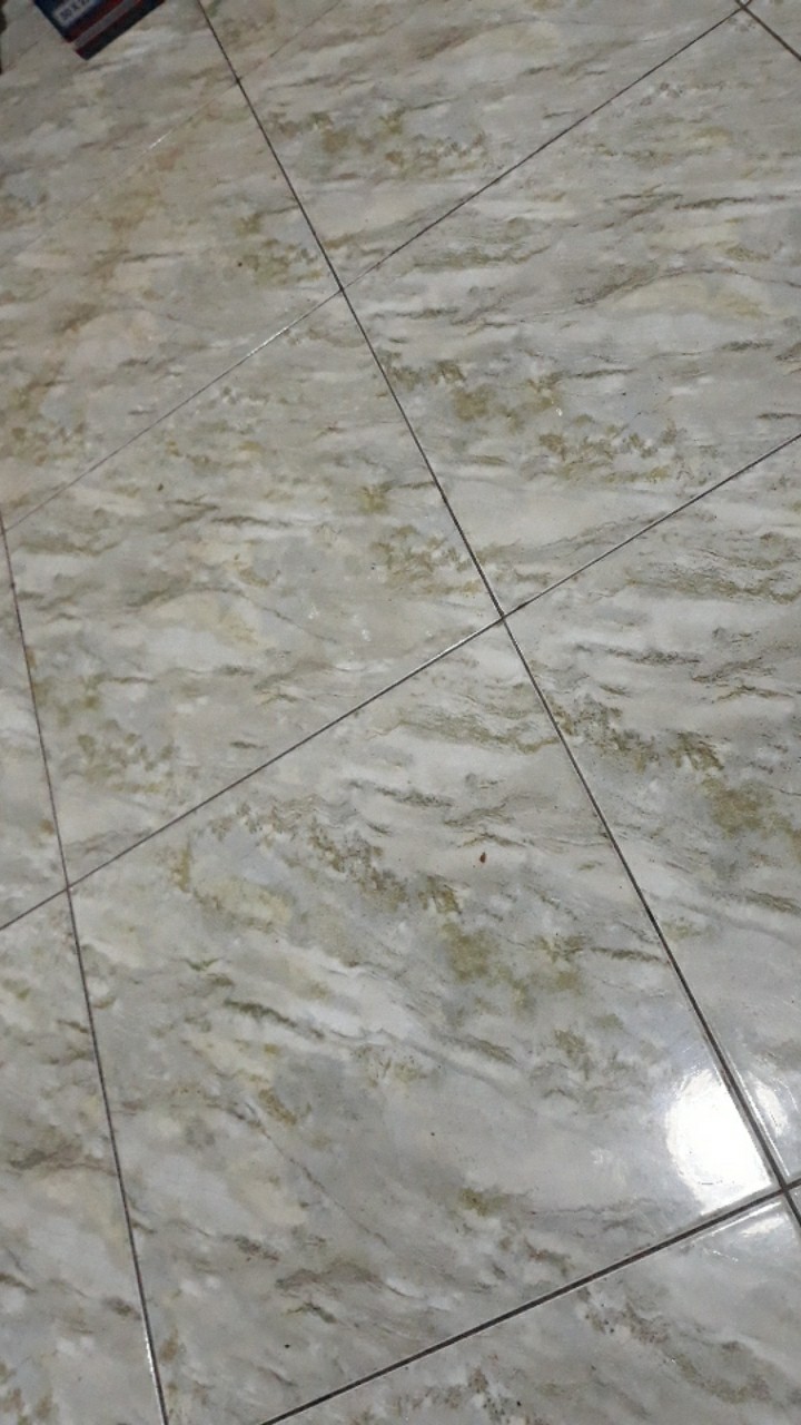 Aneka Cetakan Kue Kering