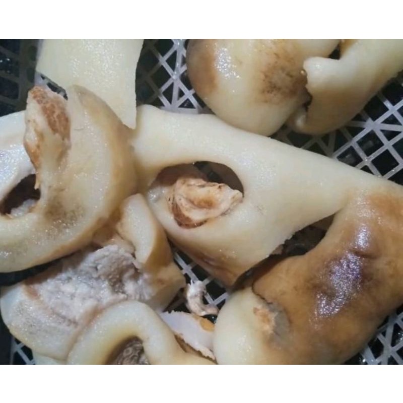 

kikil tebel /tunjang