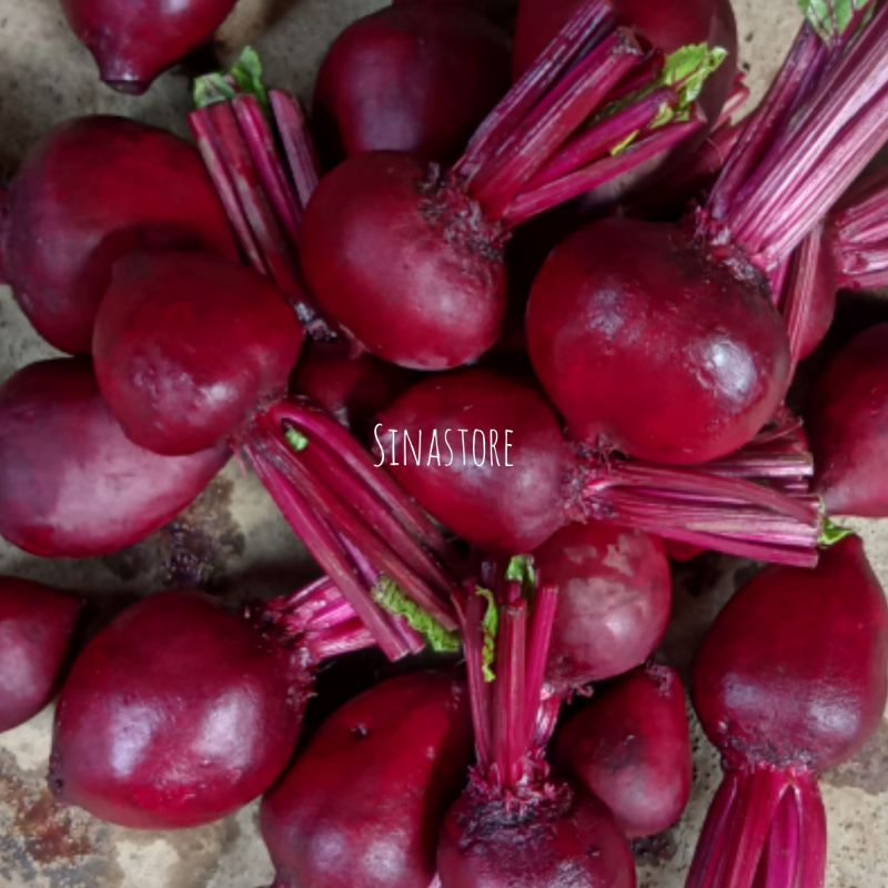 

Buah Bit /Beetroot Kualitas Super Termurah 1kg