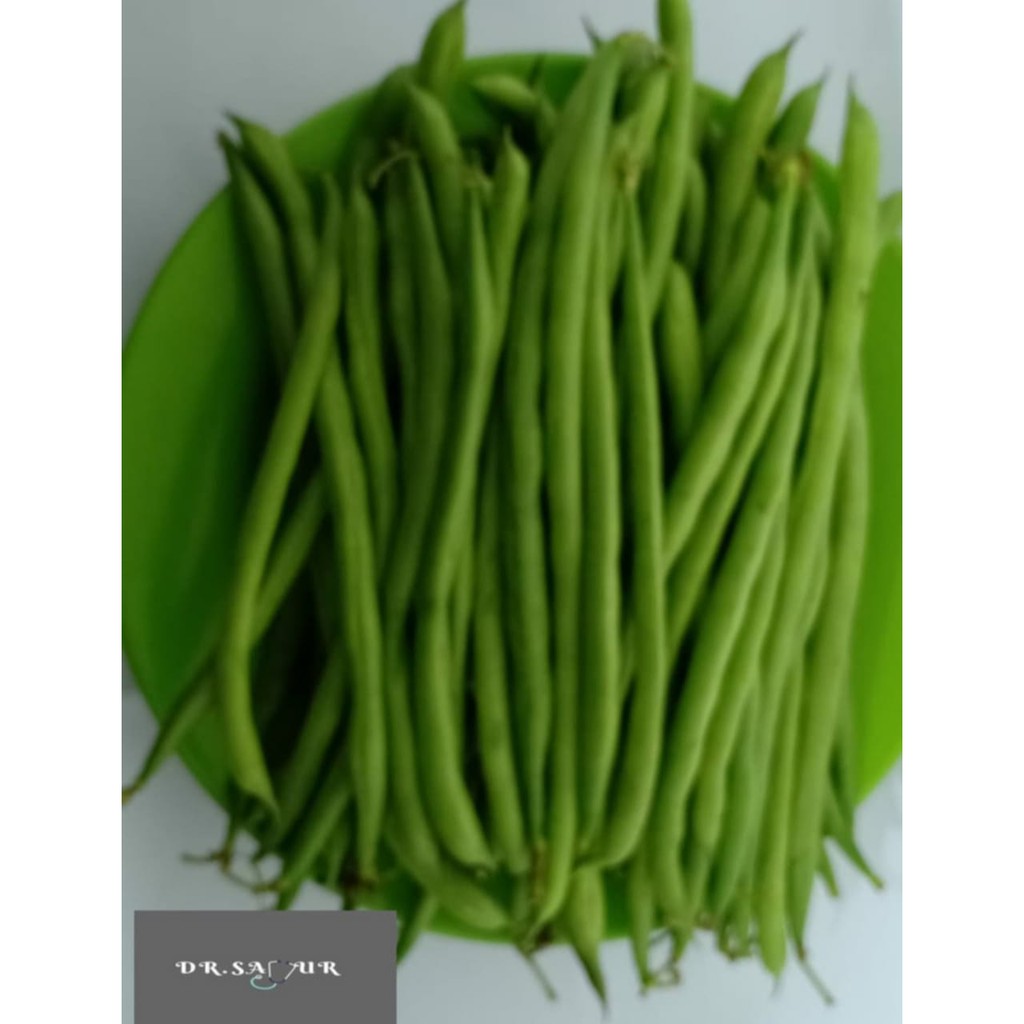 Kacang Buncis Buncis Shopee Indonesia