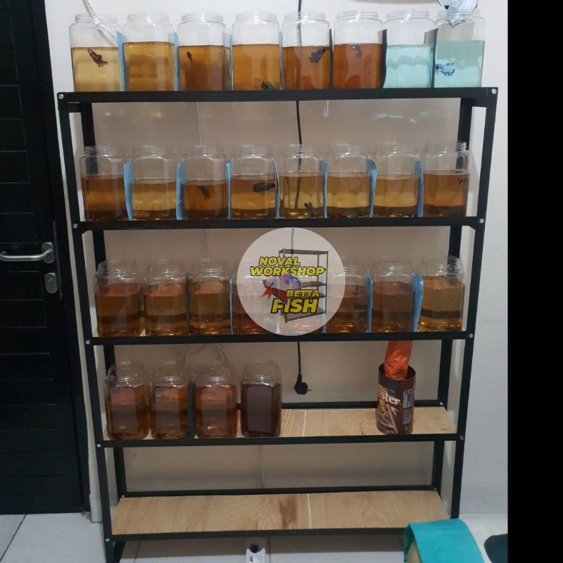 Rak Cupang 5 susun