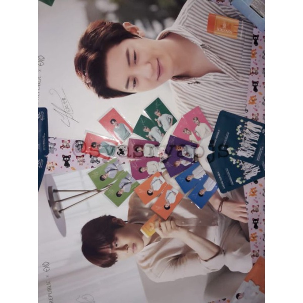 Photocard Exo Nature Republic