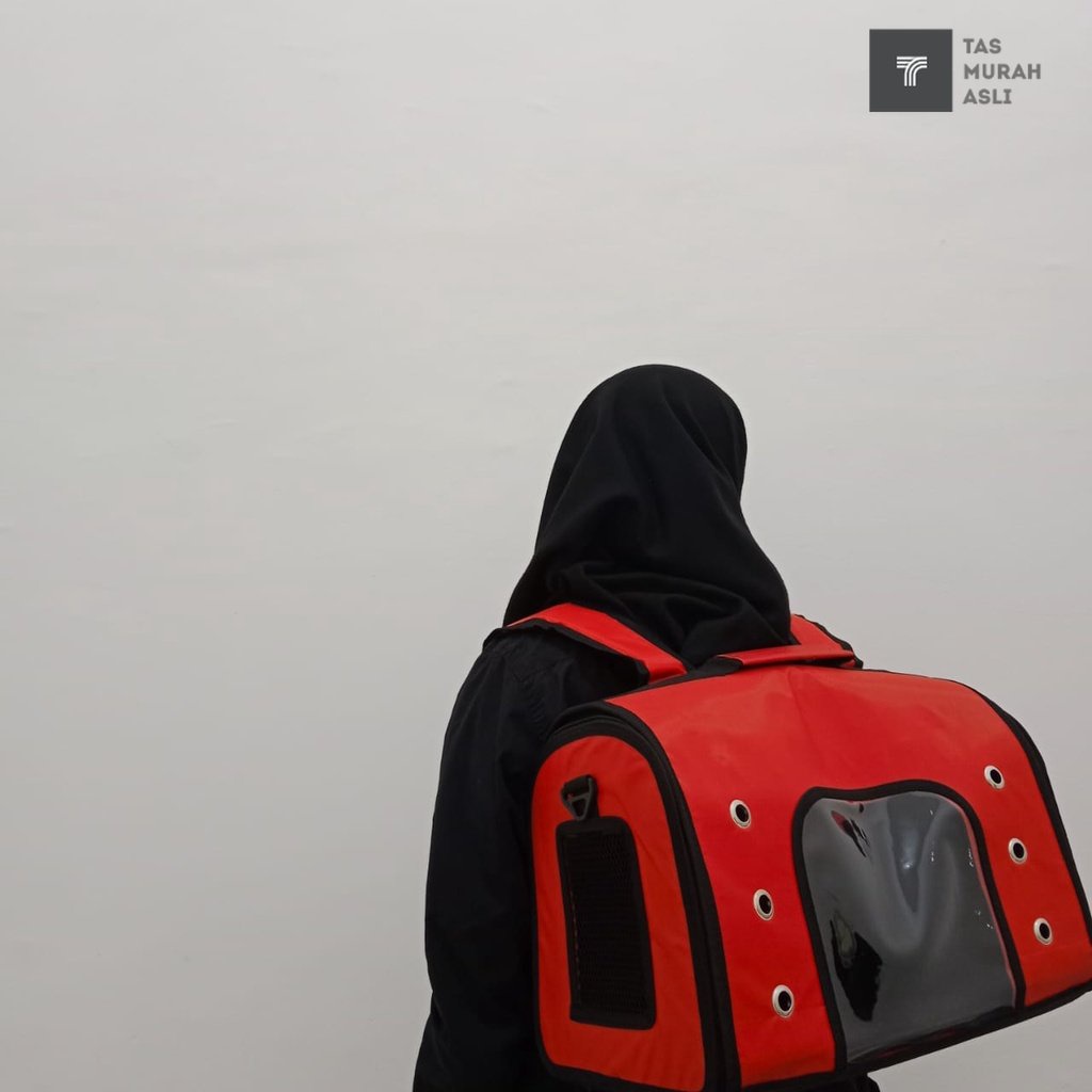 TAS KUCING TRANSPARAN / PET CARGO / PET CARRIER