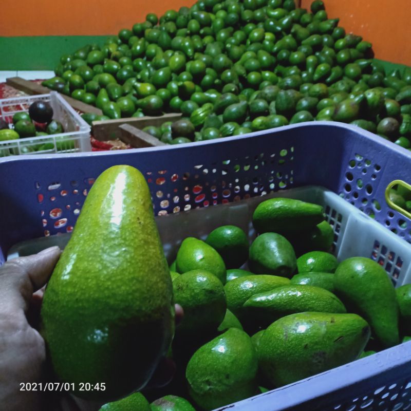 

Alpuket mentega/buah segar