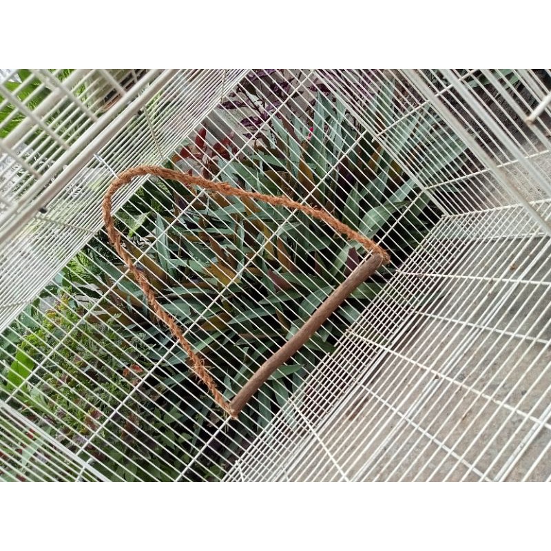 Ayunan Burung Lovebird Parkit Mainan Gantungan Burung