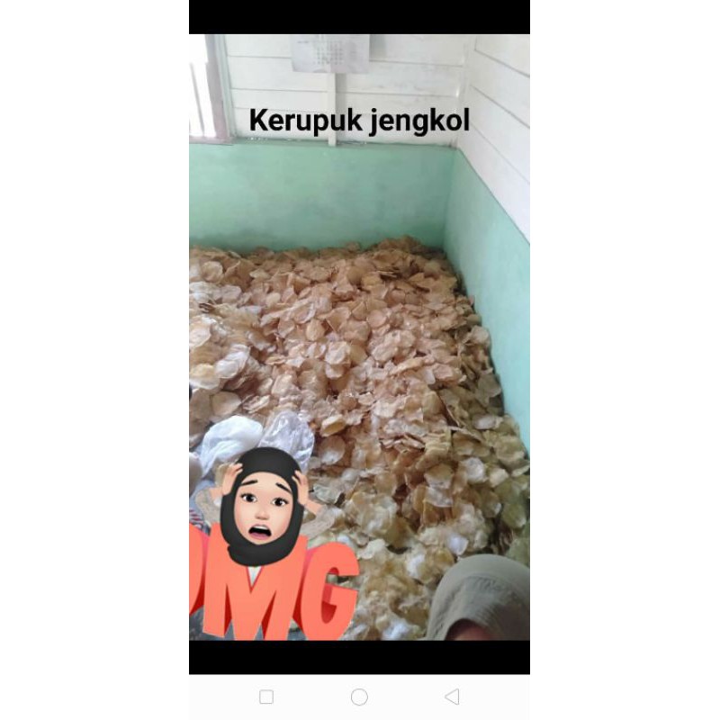 

kerupuk jengkol mentah