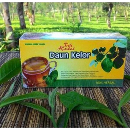 

Teh Celup Herbal Daun Kelor herbal ampuh mengobati reumatik dan asam urat